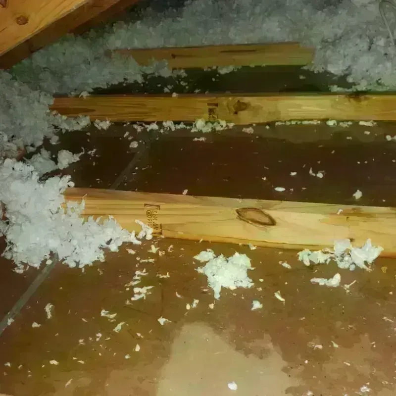 Attic Water Damage in Hillsboro, MS