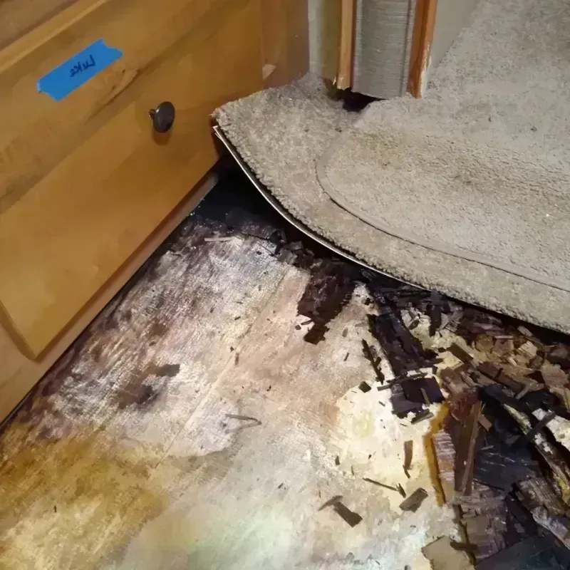 Wood Floor Water Damage in Hillsboro, MS